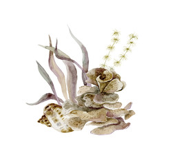 Print with seaweeds and shells. Underwater world