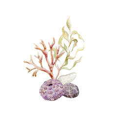 Print with seaweeds and shells. Underwater world
