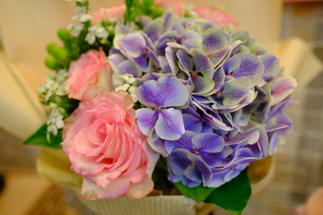 Macro view of colorful blue red green white pink orange purple rose flower bouquet in full blossom