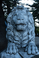 Fototapeta na wymiar statue of a lion