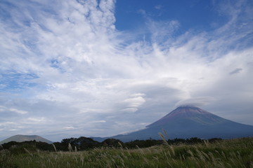 富士山とススキ