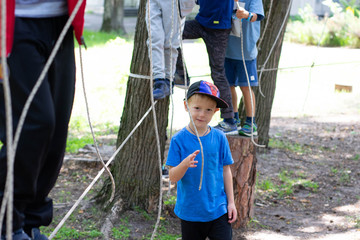 little boy climbing a tree