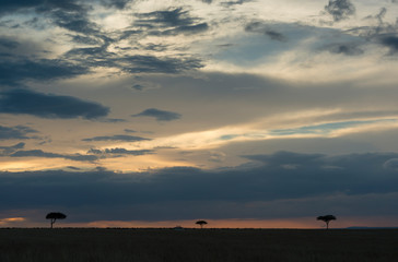 Fototapeta na wymiar Landscape of Masai Mara Game Reserve,Kenya,Africa
