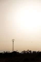 Paisaje a contraluz con un pájaro posado en cable de torre de electricidad. Santa Pola, Alicante, España