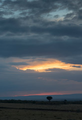 Landscape of Masai Mara Game Reserve,Kenya,Africa