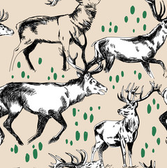 Seamless pattern with deers. Drawing by hand a pen. A herd of deer. - 293312646