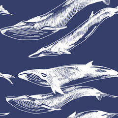 Seamless pattern with whales and dolphins. Drawing by hand in vintage style.