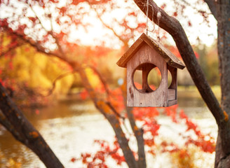 Autumn photo with orange and red leaves. Bird feeder.