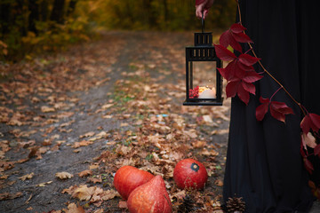 girl in a black dress holds a lantern with a candle in his hand on a background of dark forest and...