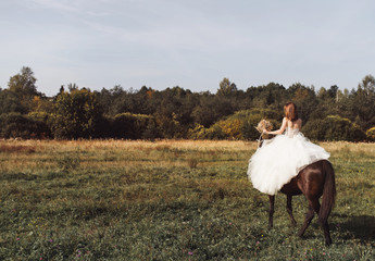 A young woman in a bridal dress and a horse on a summer field. Runaway bride concept.