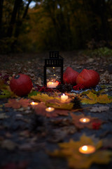 Orange pumpkins with a lamp for candles and burning candles against a dark forest and fallen yellow foliage. Halloween and Thanksgiving