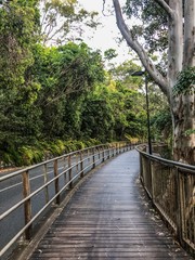 Obraz premium Noosa Walk - footpath winding along the Noosa headlands in Queensland's sunshine coast, past the beaches and through eucalyptus forests. An amazing tourist attraction.