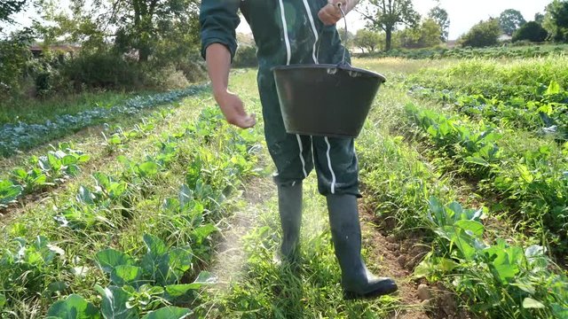Farmer using natural treatment for organic crops