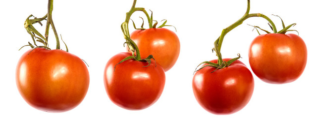 ripe red tomatoes on a branch. set