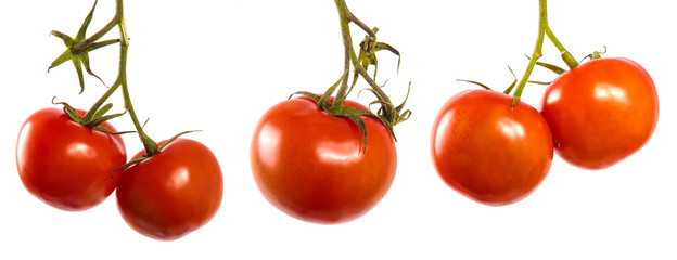 ripe red tomatoes on a branch. set