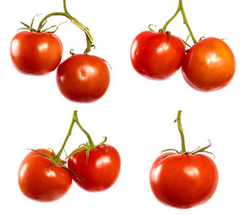 ripe red tomatoes on a branch. set