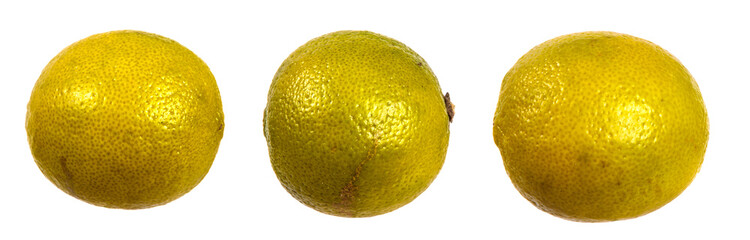 ripe lime flavored. on a white