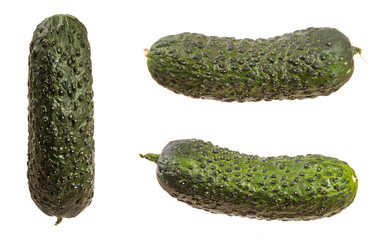 ripe green cucumber with pimples. on a white