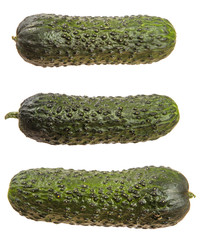 ripe green cucumber with pimples. on a white