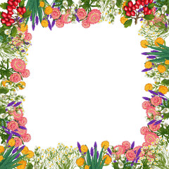 Hand drawn medicinal plant frame. Healing herbs border. isolated on white background