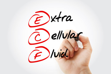 ICF - intracellular fluid acronym with marker