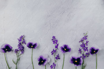 Spring concept. Purple flowers on a marble background.Copy space