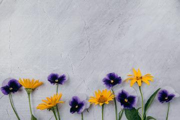 Purple and yellow flowers on a marble background.Copy space