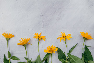 Yellow flowers on a marble background.Copy space