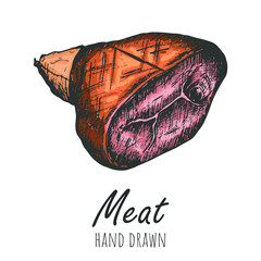 Ham hand drawn vector illustration, vintage colored design element.