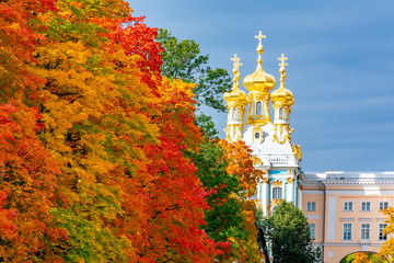 Catherine palace church dome in autumn foliage, Tsarskoe Selo, St. Petersburg, Russia
