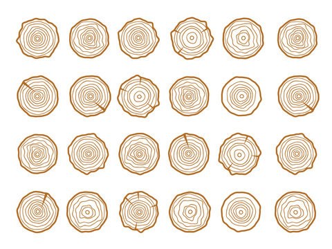 Vector tree rings. Wood texture vector. Abstract circle tree background