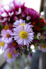 Bunch of fresh autumn flowers. Colorful zinnias, asters, dahlias.