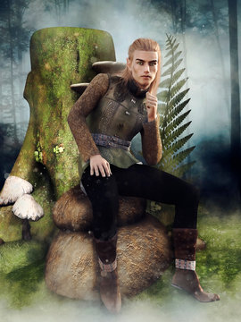 Fantasy male elf sitting on a rock next to a tree stump and mushrooms. All elements in the image are 3D objects. The model is a 3D object, not a real person.