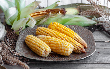 boiled corn cob on a wooden table
