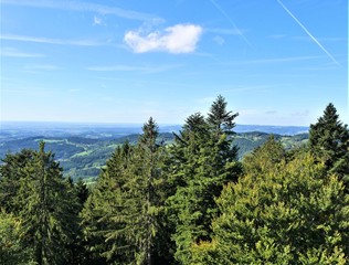 Bayerischer Wald