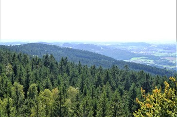 Bayerischer Wald