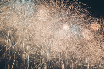 Fireworks festival. Fireworks display on dark sky background.