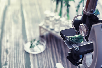 Microscope and test partings on the table in the laboratory.
