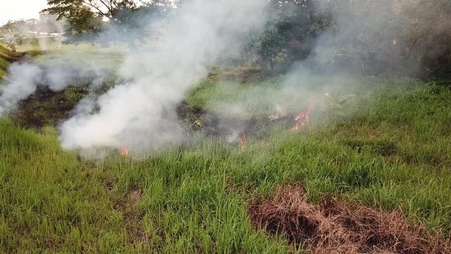 Drone shot open fire at green field at Malaysia, Southeast Asia.