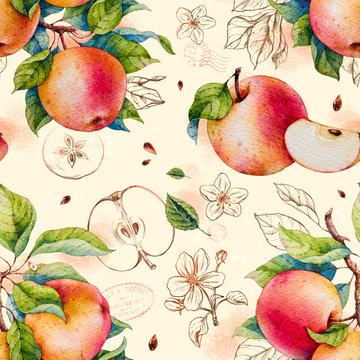 Apples. Watercolor botanical illustration. Pattern