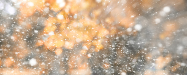 Background autumn park in the first snow