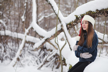 A young girl in a winter park on a walk. Christmas holidays in the winter forest. The girl enjoys winter in the park.