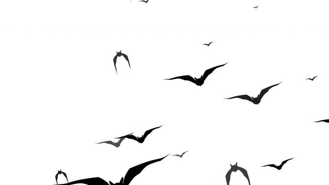 Swarm of bats flying across the screen. Spooky Halloween animated background. 4k