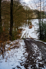 Wanderweg im Wald von K&uuml;rten