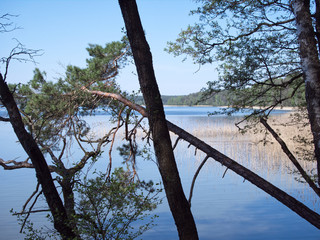 Fototapete bei efototapeten.de bestellen   