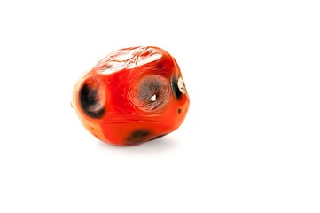 Fototapeta premium Rotten, Spoiled Tomato with Mold Spots on Skin Isolated on White Background.