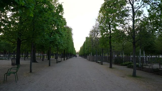 evening walk in the Tuileries Garden