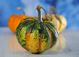 Halloween party. Holiday. Pumpkins for the holiday. Celebration. Bokke. Close-up
