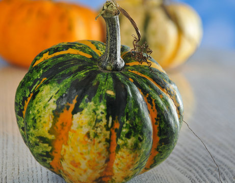 Halloween party. Holiday. Pumpkins for the holiday. Celebration. Bokke. Close-up