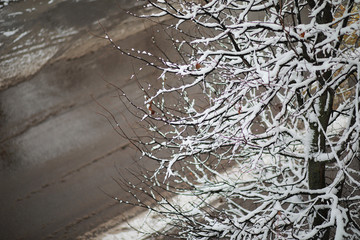 Winter Park. Landscape in snowy weather. January.
